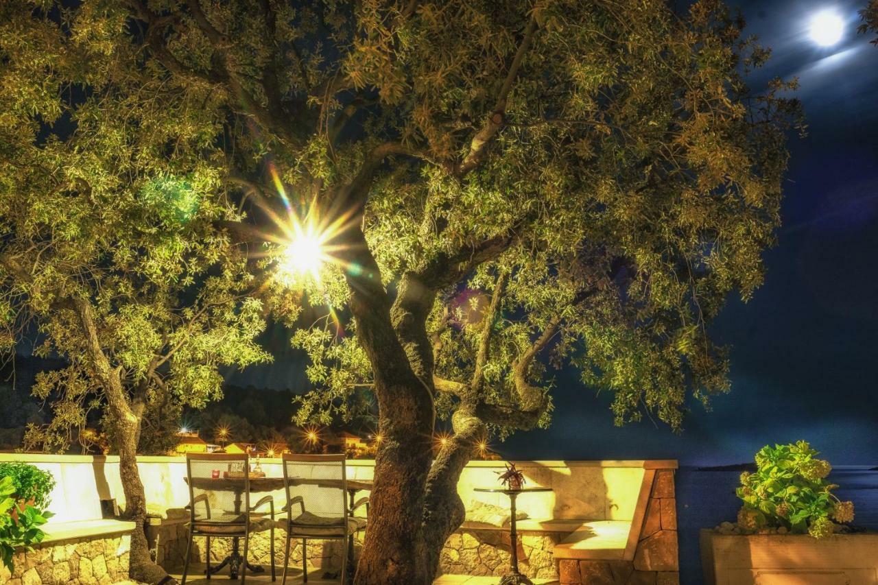 Villa Marin Molunat Dış mekan fotoğraf