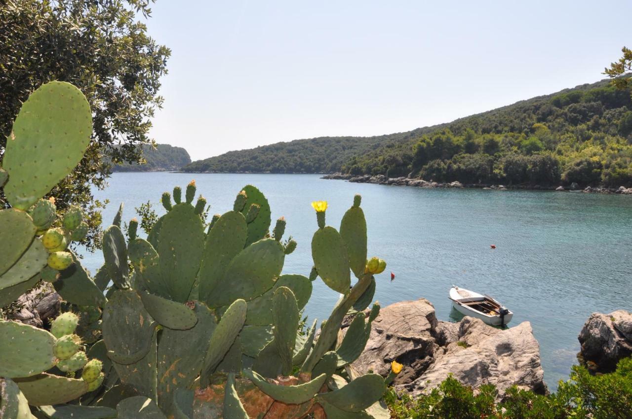 Villa Marin Molunat Dış mekan fotoğraf